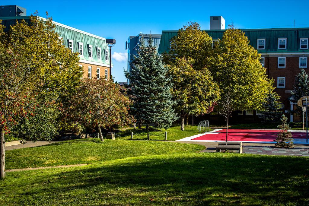 Memorial University St. John's Kültér fotó