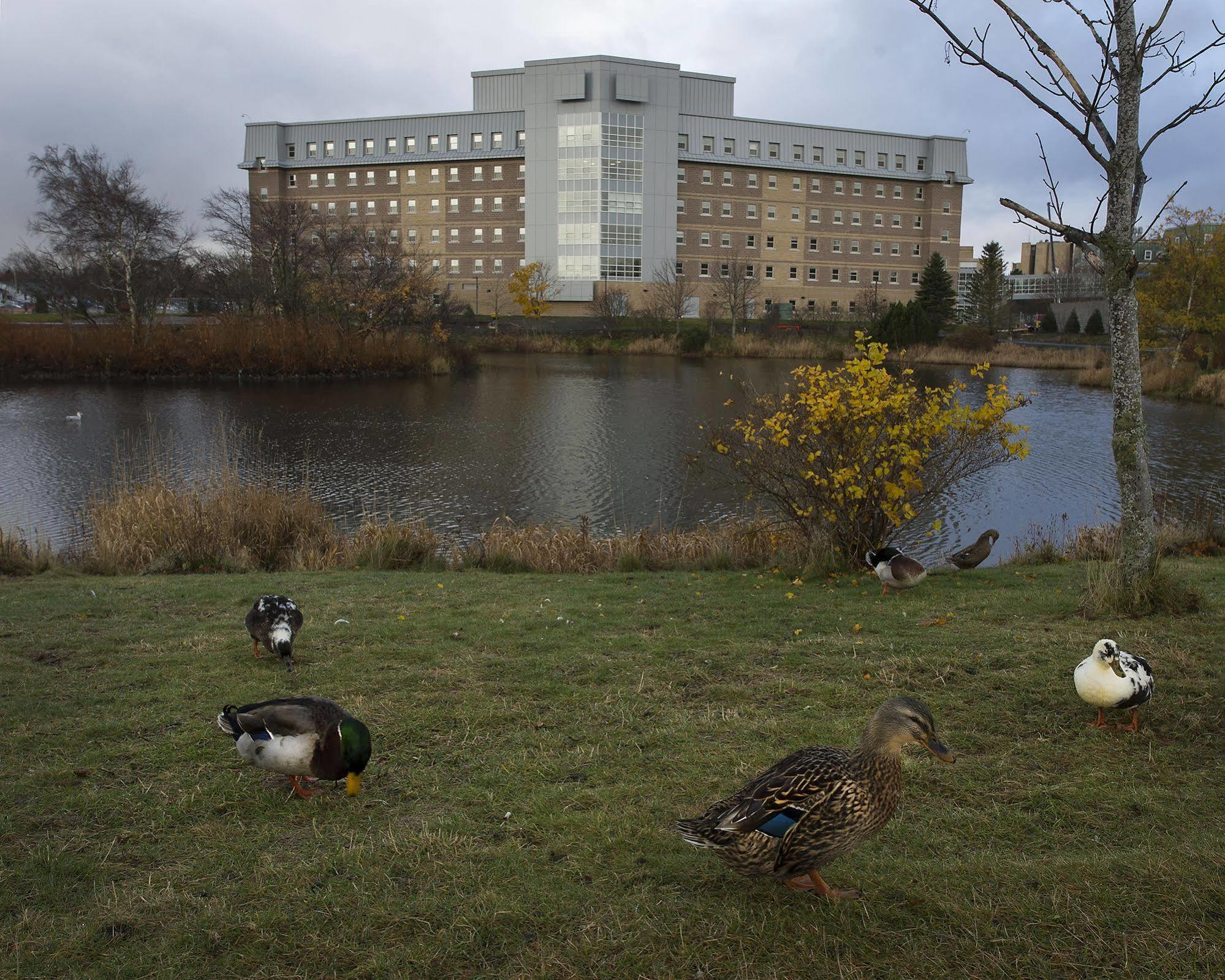 Memorial University St. John's Kültér fotó